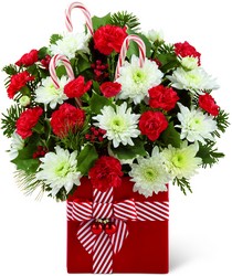 The FTD Holiday Cheer Bouquet  Upper Darby Polites Florist, Springfield Polites Florist